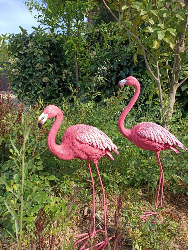 Flamingo İkili Set